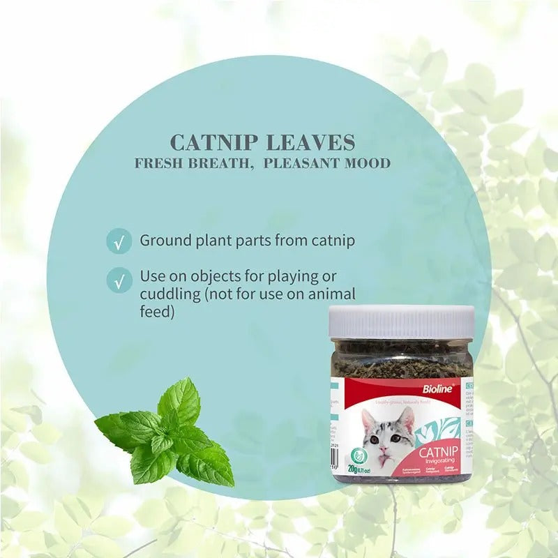 Bioline catnip leaves for cats in a jar, promoting fresh breath and a pleasant mood.