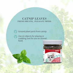 Bioline catnip leaves for cats in a jar, promoting fresh breath and a pleasant mood.