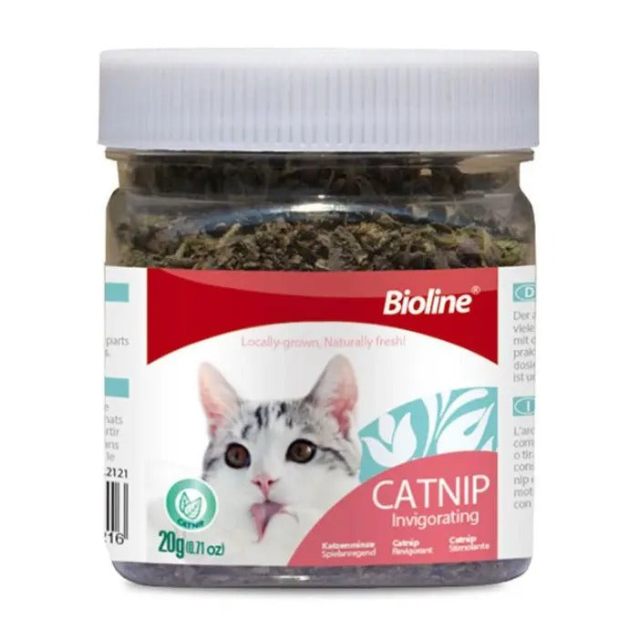 Bioline catnip leaves for cats in a clear jar, perfect for enhancing playtime and enjoyment