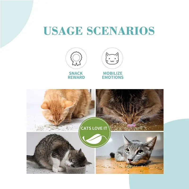 Bioline catnip leaves for cats used as a snack reward to engage and delight felines