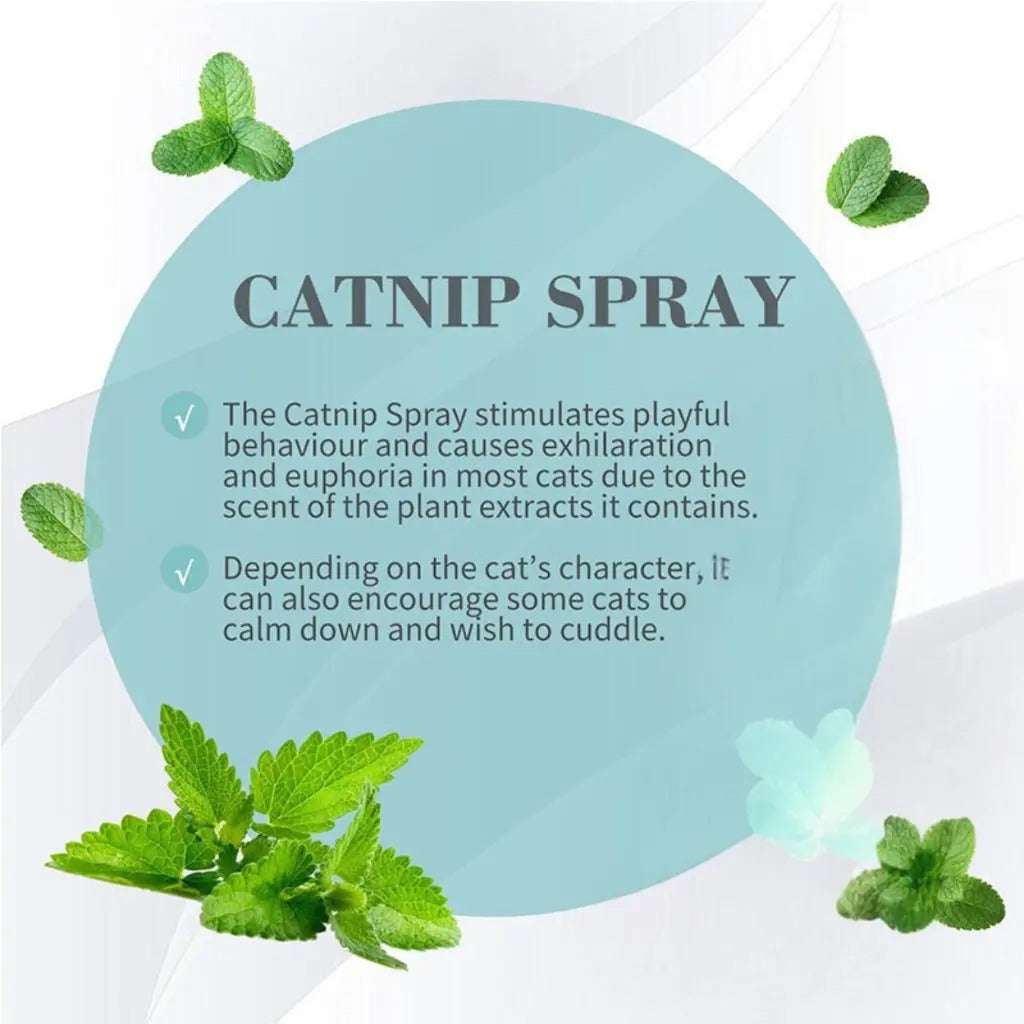 Bioline catnip spray 15ml designed to stimulate playful behavior and euphoria in cats