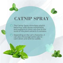 Catnip spray info card with catnip leaves and butterfly graphics