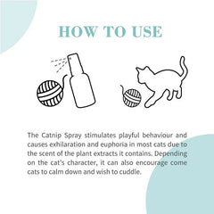 Bioline catnip spray for cats shown with instructions and playful cat illustration