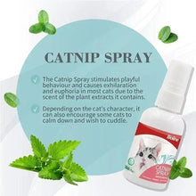 Catnip spray bottle with white cap beside green catnip leaves on a blue panel