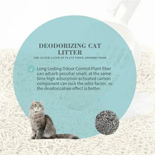 Deodorizing cat litter with plant fiber and activated carbon, shown with cat and charcoal pellets