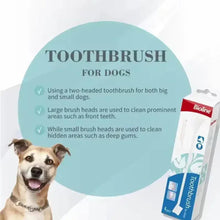 Dog toothbrush pack with brush info and dog model