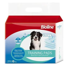 Dog training pad multipack box with blue and white absorbent, leak-proof pads