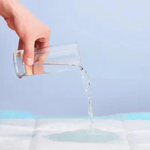 Training pad with clear water being poured onto the absorbent surface