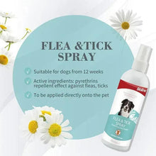 Flea & tick spray bottle with blue badge and suitability bullet points