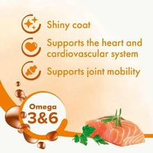 Salmon oil supplement graphic with salmon slice and omega 3&6 icons