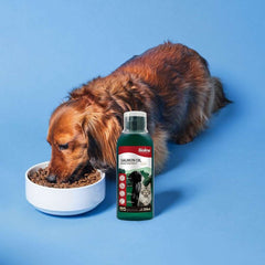 Bioline Norwegian Salmon Oil for pets next to a dog enjoying its meal with dry food
