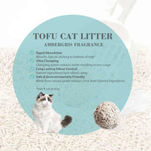 Tofu cat litter info graphic: teal circle with cat and litter ball, odor control bullets