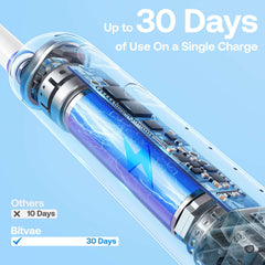 Bitvae electric toothbrush for adults with visible internal motor and battery showing up to 30 days battery life