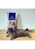 Pure Natural bentonite cat litter bag with paw-print logo, blue and white