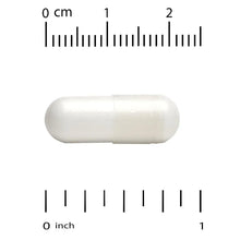 White veggie capsule with length measurement scale above and below