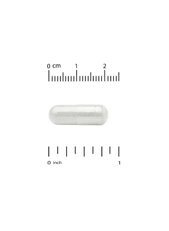 California Gold Nutrition LactoBif 65 probiotics 65 billion CFU in a clear capsule for digestive health