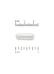 California Gold Nutrition LactoBif 65 probiotics 65 billion CFU in a clear capsule for digestive health