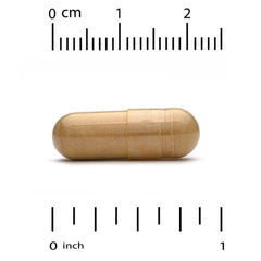 California Gold Nutrition organic lion's mane supplement capsule for cognitive support and wellness