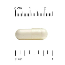 Vitamin C veggie capsule, off-white, with size measurement scale markings