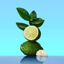 Lemon slice with green leaves on icy chunks, fragrance ingredient visual