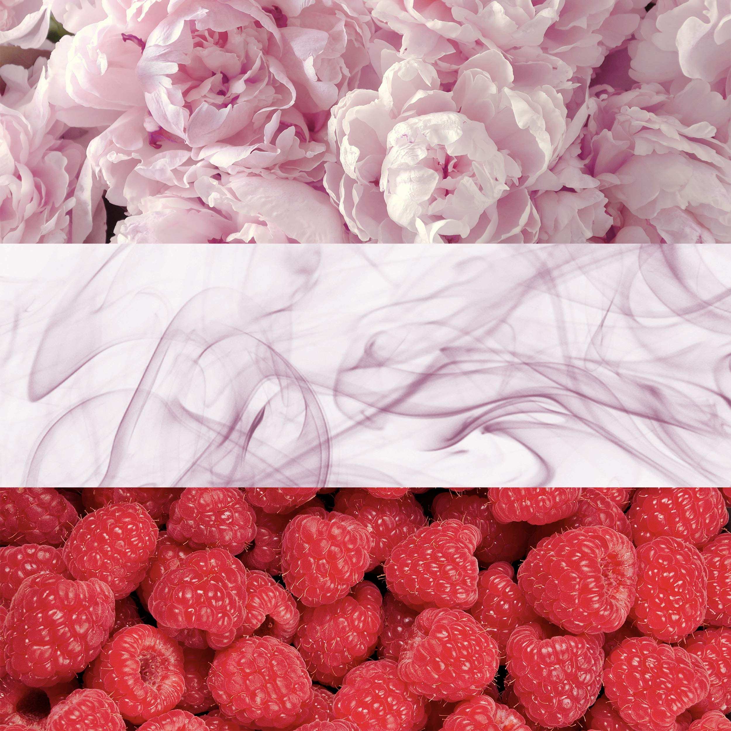 Pink peonies, purple fragrance smoke, and fresh raspberries representing Calvin Klein Eternity Moment perfume scent