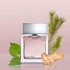 Calvin Klein Euphoria for men bottle with fresh green leaves and ginger root on pink background