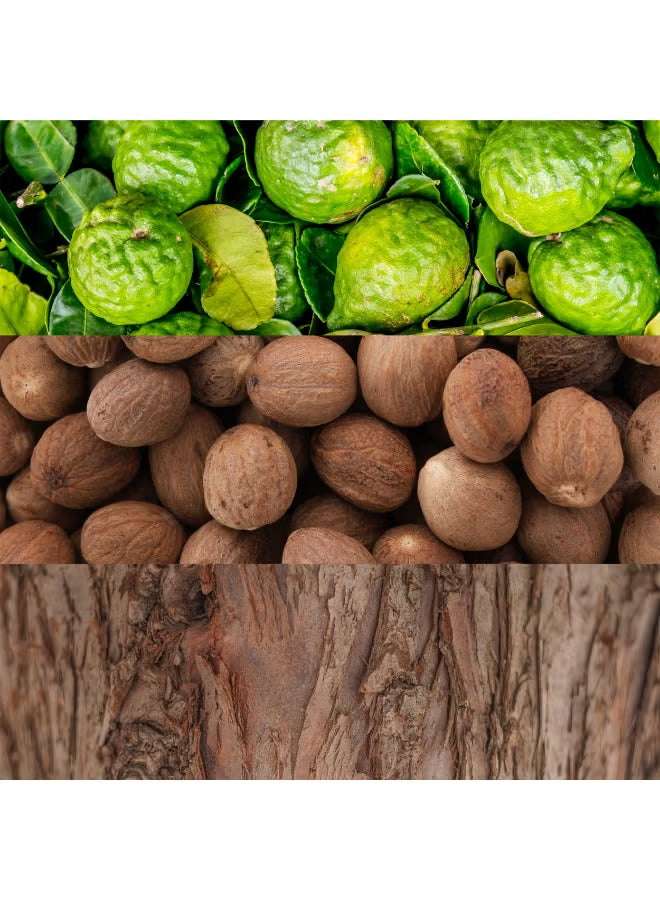 Key ingredients for Calvin Klein Man Eau De Toilette 100ml featuring bergamot, nutmeg, and wood notes