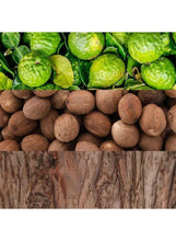 Perfume scent notes: green citrus fruits and brown nut-like spices