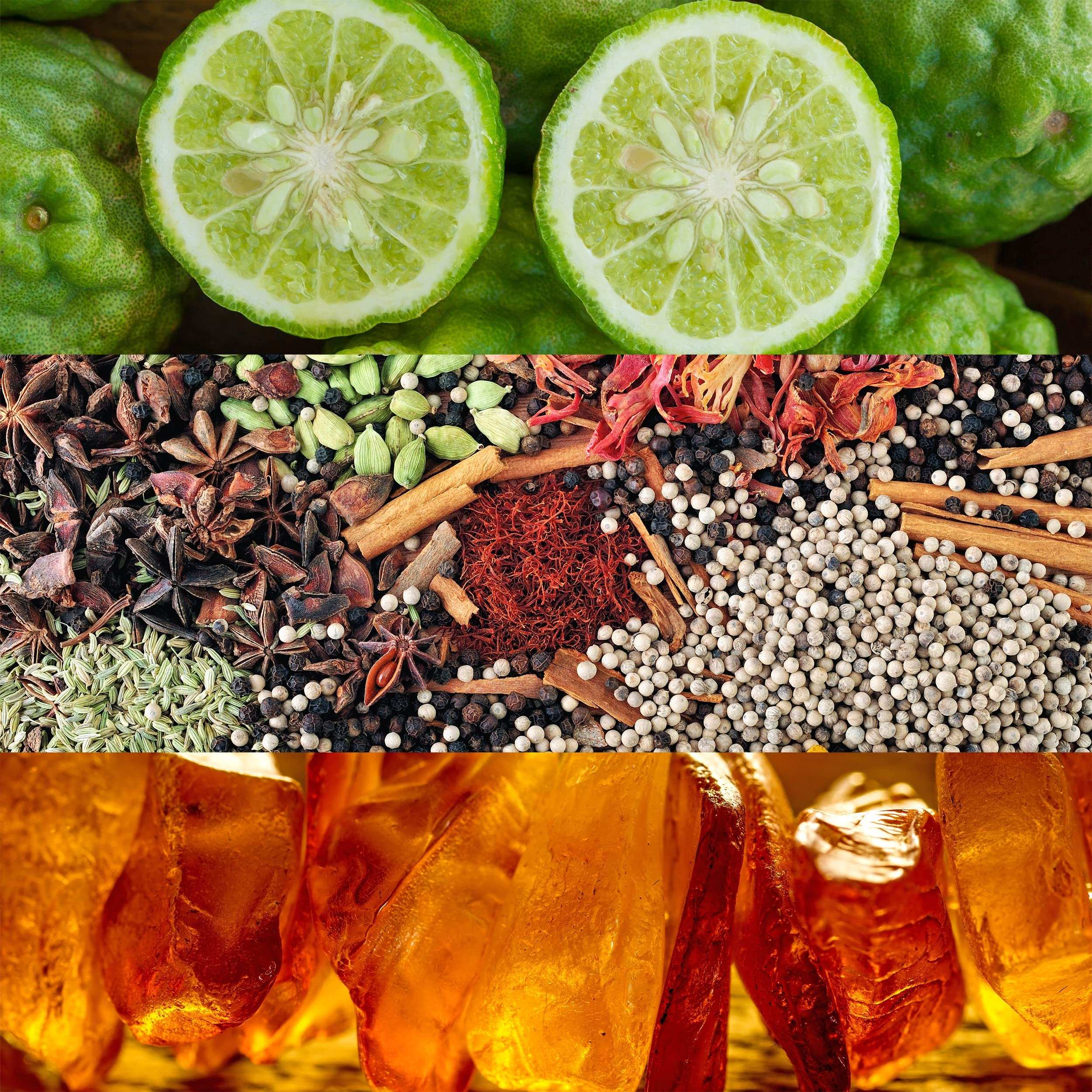 Ingredients for Calvin Klein Obsession perfume for women featuring bergamot, spices, and amber notes