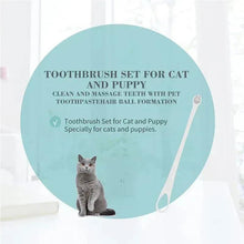 Pet toothbrush set promotional card with cat illustration and product description