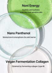 Glass petri dishes of green clear and beige gels illustrating ingredients for celimax noni ampoule UAE skincare product
