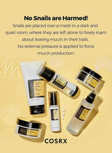 Face essence bottles and cream jar with black labels arranged together