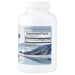 Micro Ingredients, Glycine, 240 Vegetarian Capsules (500 mg per Capsule)