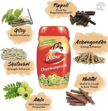 Dabur Chyawanprash jar centered with Giloy, Ashwagandha, Amla, and licorice illustrations