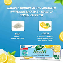 Toothpaste box back panel for Dabur Herbi salt and lemon with ingredient icons