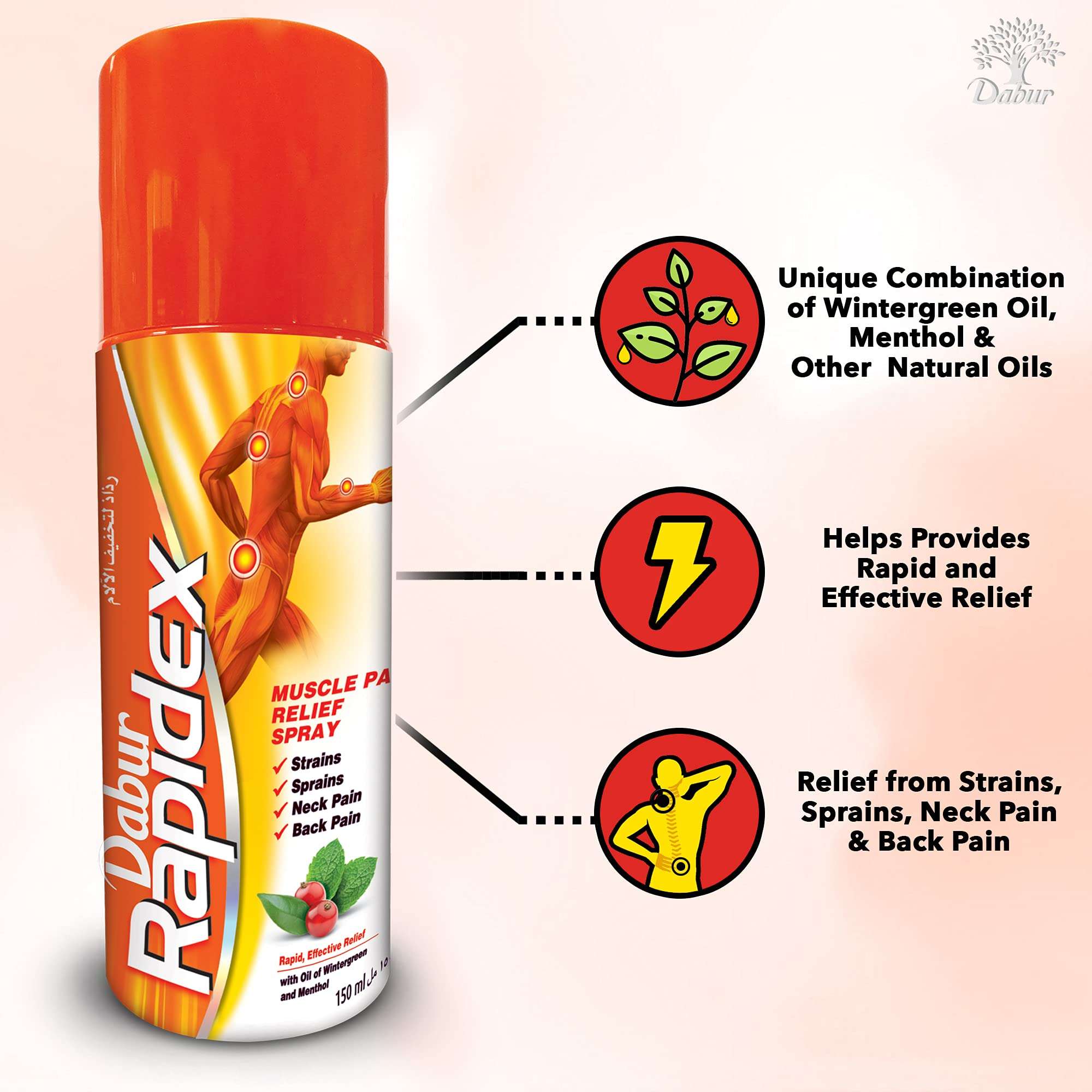 Dabur Rapidex muscle and joint pain relief spray bottle with ingredients icons and usage benefits