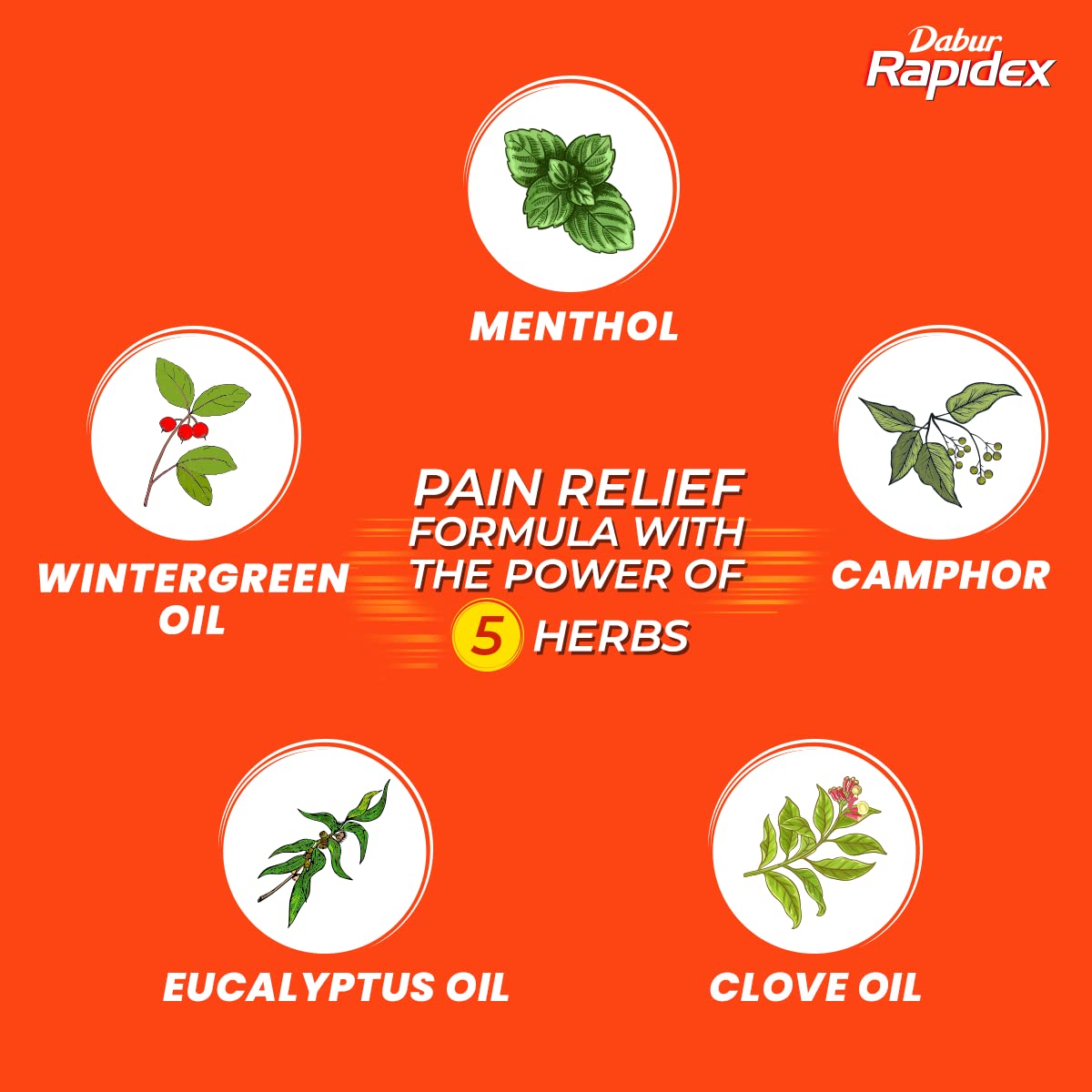 Dabur Rapidex packaging showing five herbs menthol camphor eucalyptus clove wintergreen oil muscle pain relief patch UAE
