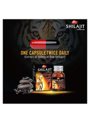 Dabur Shilajit capsules for men UAE with 500mg extract for vitality and overall wellness
