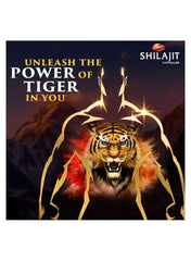 Dabur Shilajit capsules for men UAE with tiger imagery promoting vitality and strength