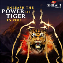 Dabur Shilajit capsules promotional graphic with tiger and power theme