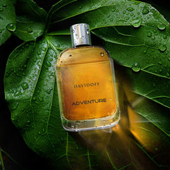 Davidoff Adventure for Men UAE Eau De Toilette in a sleek bottle against a green leaf backdrop