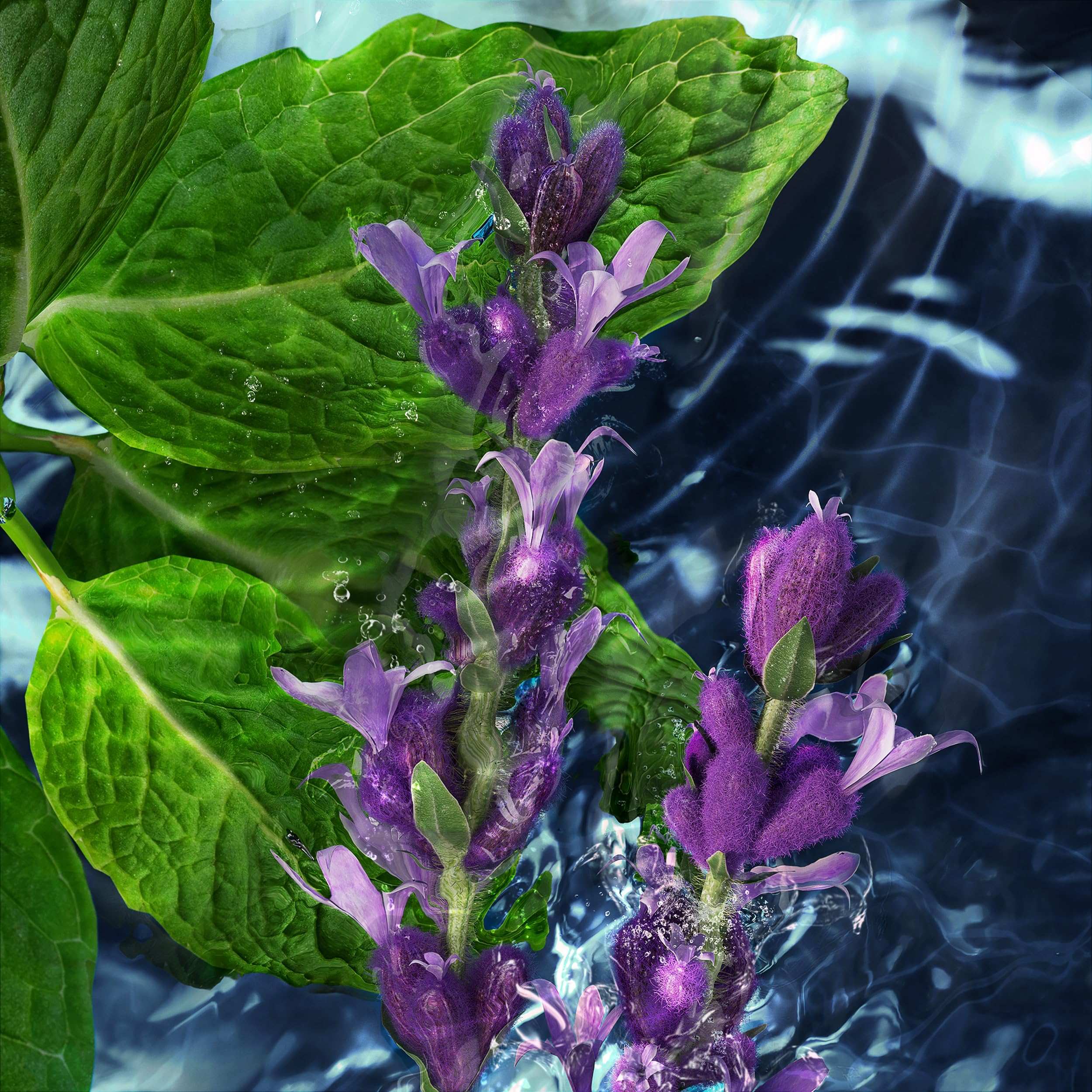 Close-up of fresh green leaves and purple flowers in water representing Cool Water Eau de Toilette 125ml fragrance notes