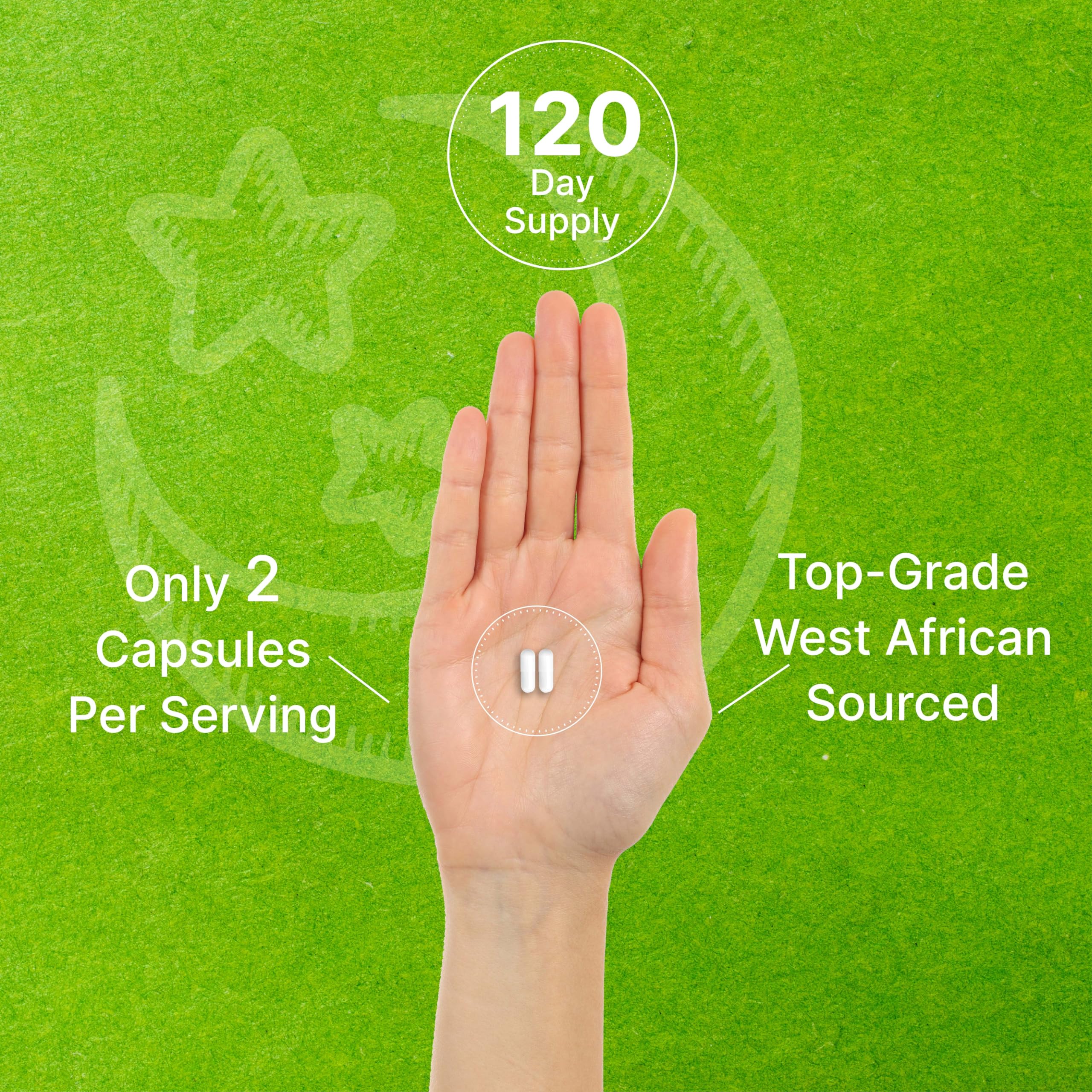 Palm showing two capsules icon on green background with 120 day supply and top grade West African sourced 5-HTP supplement UAE