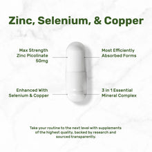 Zinc, selenium and copper supplement capsule illustration