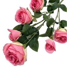 Pink rose bouquet with green leaves, five blooms in close view