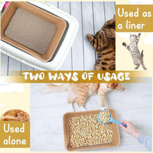 Disposable cat litter basin with liner, tan tray showing granular litter on the inner base.