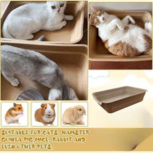 Disposable cat litter basin, tan tray with molded corners and a shallow interior base.