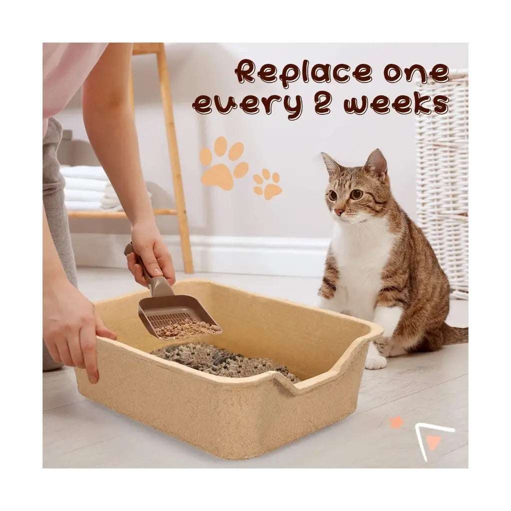 Bioline disposable cat litter basin UAE showing easy cleaning and maintenance for cats
