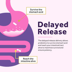 Delayed release diagram of supplement surviving stomach acid to reach intestine alive probiotics for women 50 billion CFU