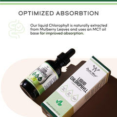 Double Wood Supplements bottle and box of chlorophyll liquid drops with dropper on white background